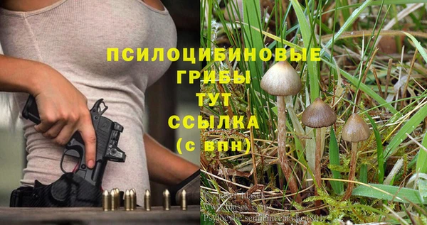 индика Алексеевка