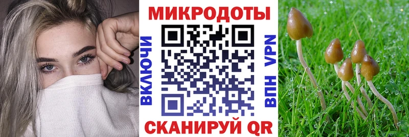 Галлюциногенные грибы Psilocybine cubensis  Цимлянск 
